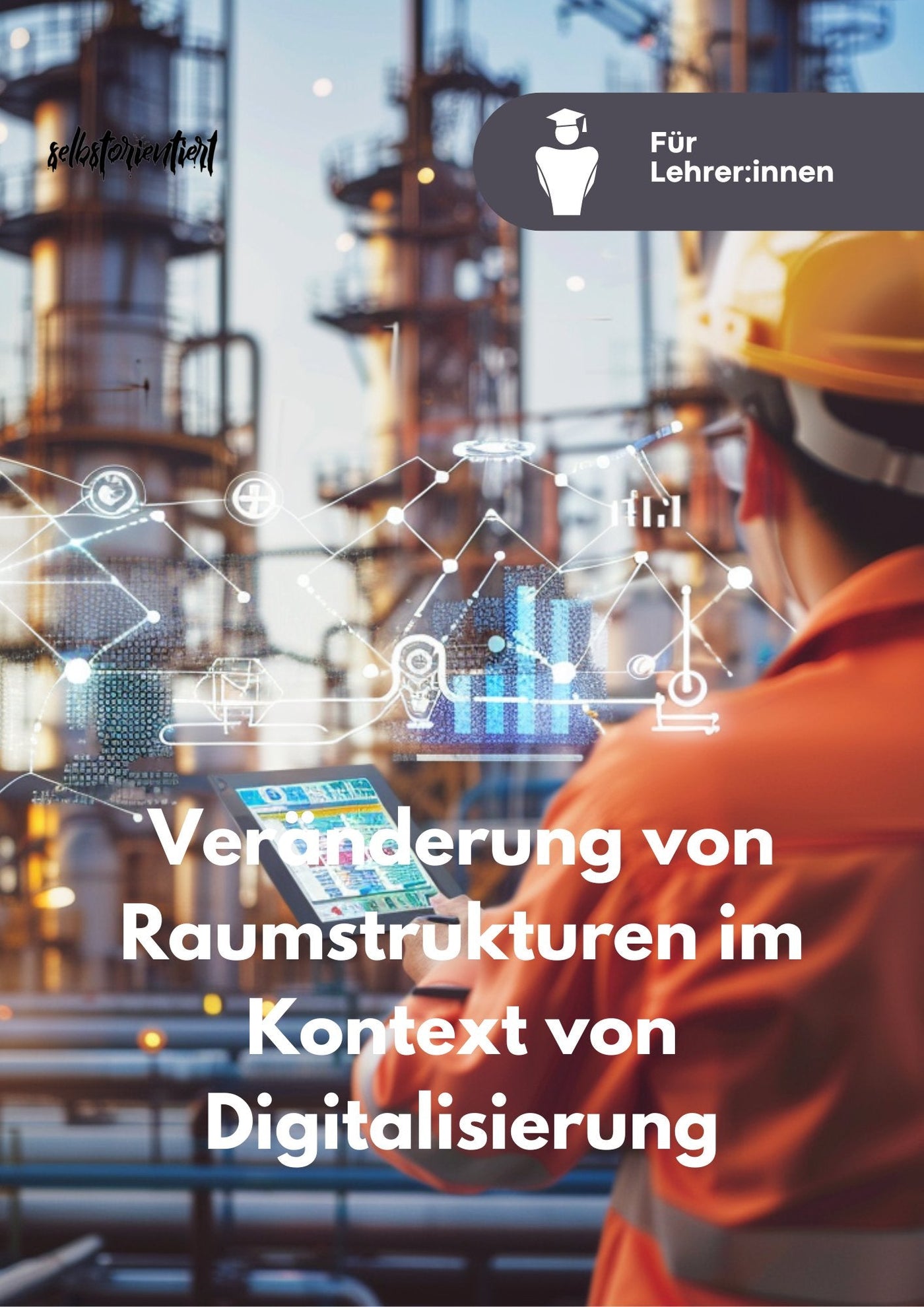 Unterrichtsreihe "Herausbildung von Wachstumsregionen − Veränderung von Raumstrukturen im Kontext von Digitalisierung"