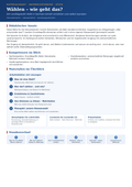 Sparpaket Landtagswahl Sachsen-Anhalt 2026 – 4 Unterrichtsreihen (Sek I & II) im Bundle