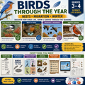 All About Birds BUNDLE: 3 Units · 12 Lessons | Elementary Science (Grades 3-4)