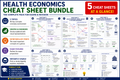 Health Economics Cheat Sheet Bundle | Complete Exam Preparation Pack