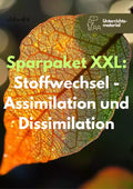 Stoffwechsel verstehen – XXL-Sparpaket Assimilation & Dissimilation