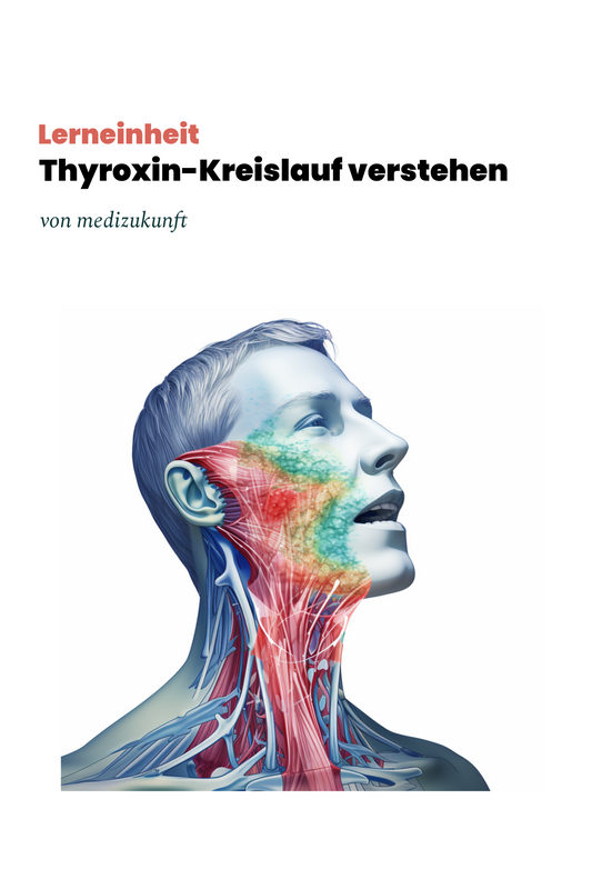 Lerneinheit: Thyroxin Regelkreis verstehen