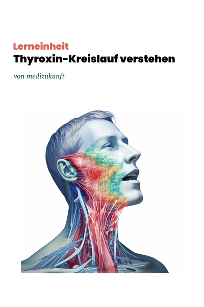 Lerneinheit: Thyroxin Regelkreis verstehen