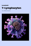 Das Immunsystem: T-Lymphozyten (Lerneinheit)