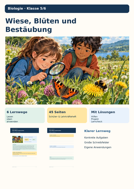 Lebensraum Wiese in Klasse 5/6 auch im Herbst unterrichten: was sich jetzt noch beobachten lässt