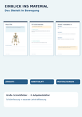 Das Skelett in Bewegung – Knochen, Gelenke & Muskeln | Biologie Unterrichtsmaterial Klasse 5–6