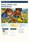 Wiese, Blüten und Bestäubung – Lebensraum Wiese erforschen | Biologie Klasse 5/6