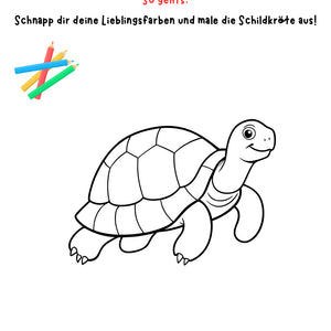 Wir malen eine Schildkröte – Kreatives Zeichenprojekt Klasse 1–4