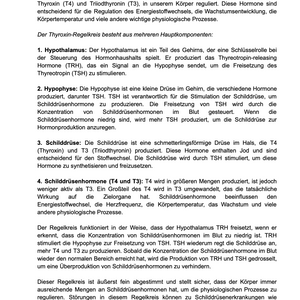 Learning unit: Understanding the thyroxine control circuit