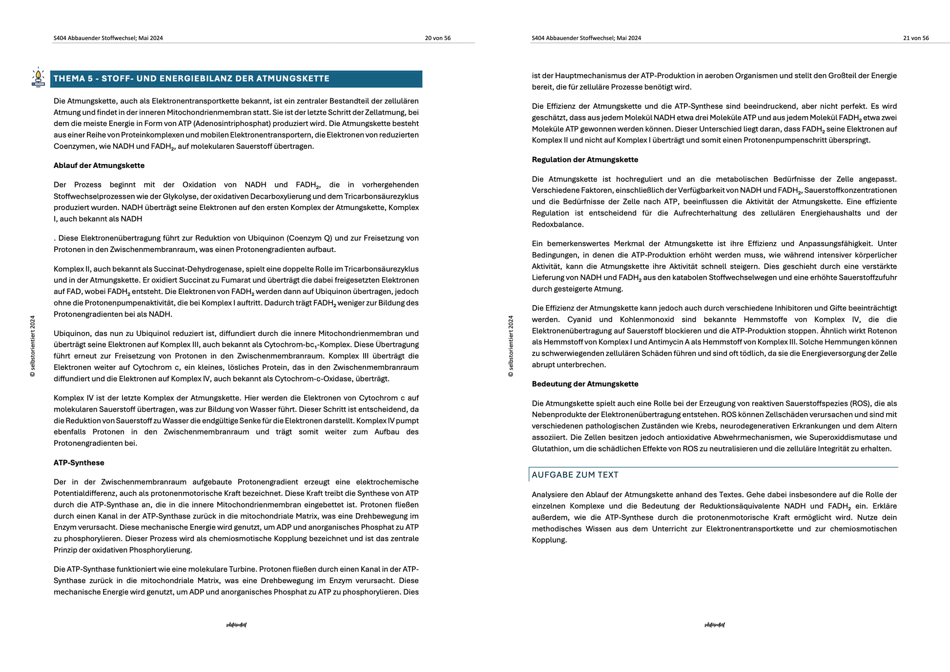 Lernheft "Abbauender Stoffwechsel | Biologie Lehrplan"