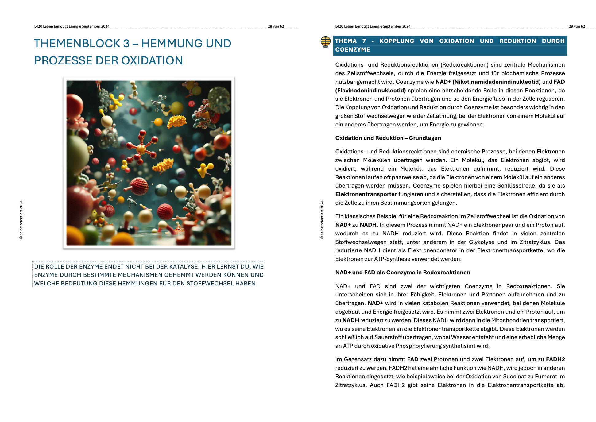 Lernheft: Enzyme und Stoffwechsel