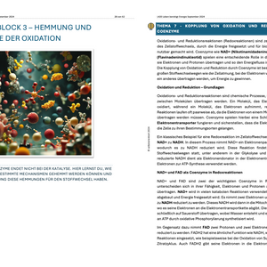 Lernheft: Enzyme und Stoffwechsel