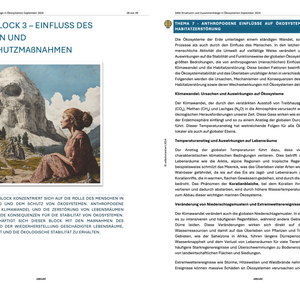 Strukturen und Zusammenhänge in Ökosystemen - Unterrichtsmaterial