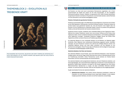 Evolution (des Menschen) und molekulare Homologien  - Unterrichtsmaterial