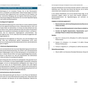 Neurologische Erkrankungen - Lernheft