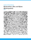 Unterrichtsmaterial „Binärzahlen, Bits und Bytes (Binärsystem)“ (SEK I)