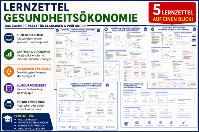 Lernzettel Gesundheitsökonomie Komplettpaket | 5 Klausur-Lernzettel