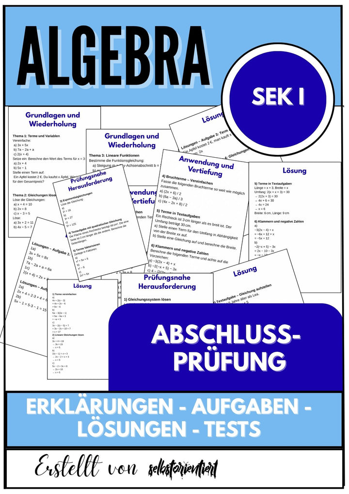 Abschlussprüfung – Algebra SEK I