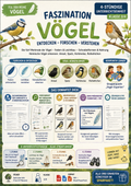 Vögel – Was ist ein Vogel? | Merkmale, Federn & Schnabel | Sachunterricht Klasse 3/4