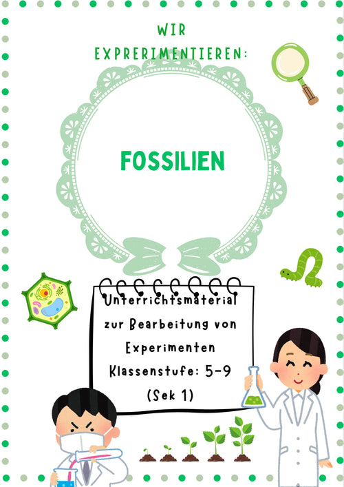 Fossilien-Experimente für Kinder – Lehrmaterial & Anleitungen Klasse 1-4