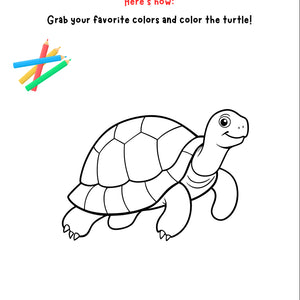 We Paint a Turtle – Printable Art Activity for Grades K–4