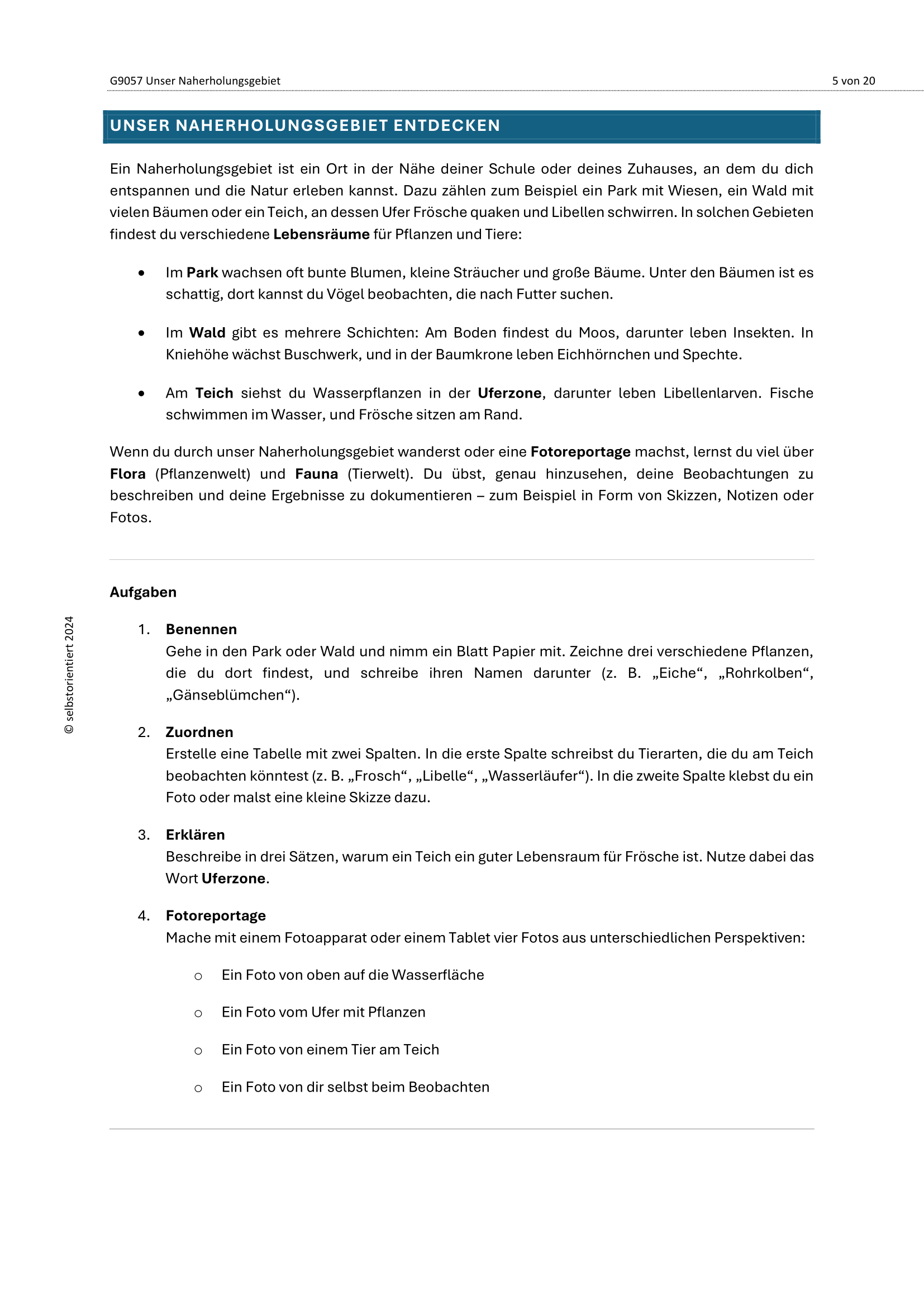 Naherholungsgebiet: Wir entdecken unsere Umgebung - Unterrichtsmaterial Grundschule