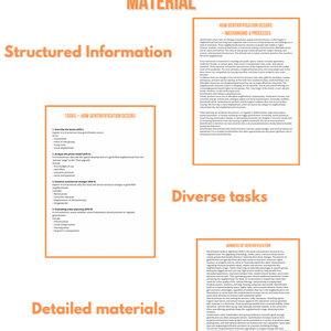 Gentrification – Urban Change, Renewal and Displacement (Grades 8–9)