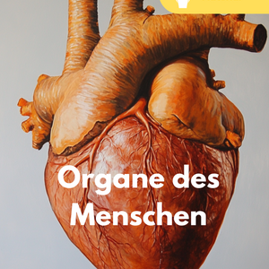 Organe des Menschen - Unterrichtsreihe SEK II