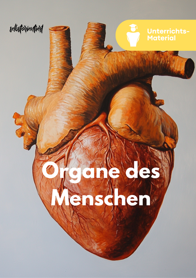Organe des Menschen - Unterrichtsreihe SEK II