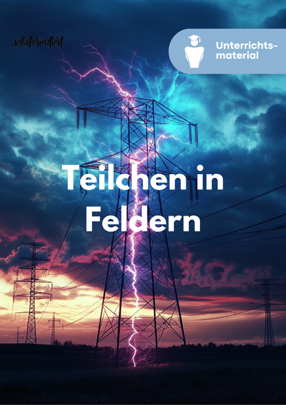 Teilchen in Feldern: Elektrische und magnetische Felder