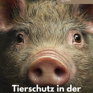 Tierschutz in der Biologie und menschlichen Ökosystemen - Unterrichtsmaterial