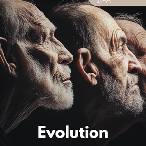 Evolution (des Menschen) und molekulare Homologien  - Unterrichtsmaterial