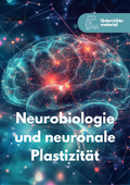 Neurobiologie und neuronalen Plastizität - Unterrichtsmaterial