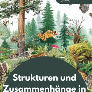 Lernheft: Strukturen und Zusammenhänge in Ökosystemen