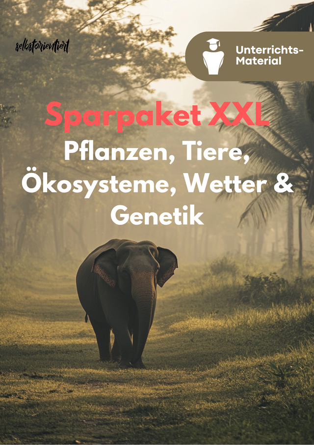 XXL-Biologie-Sparpaket Sek I – Pflanzen, Tiere, Ökosysteme, Wetter & Genetik | Komplett für Klasse 5–10
