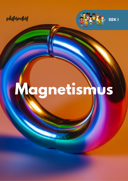 Magnetismus - Unterrichtsreihe SEK I