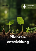 Zellteilung, Zelldifferenzierung und Morphogenese - Pflanzenentwicklung