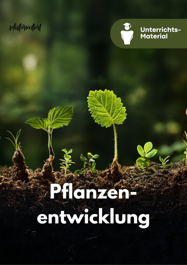 Zellteilung, Zelldifferenzierung und Morphogenese - Pflanzenentwicklung