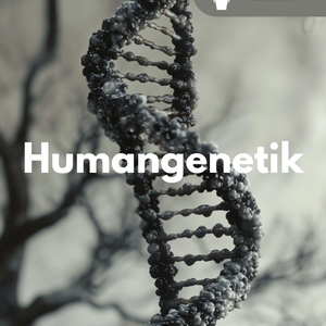 DNA-Struktur, Genexpression & Forschung - Humangenetik