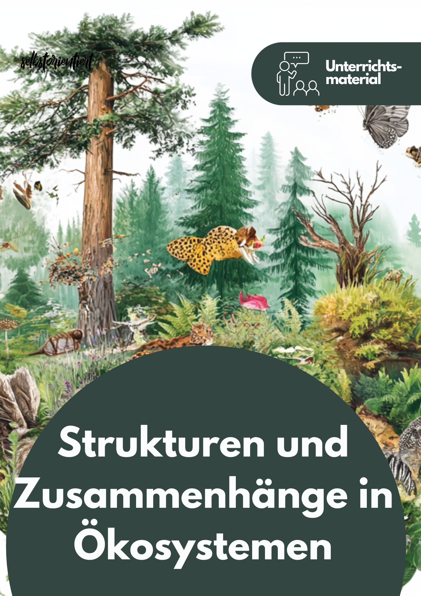 Strukturen und Zusammenhänge in Ökosystemen - Unterrichtsmaterial