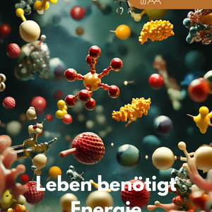 Lernheft: Enzyme und Stoffwechsel