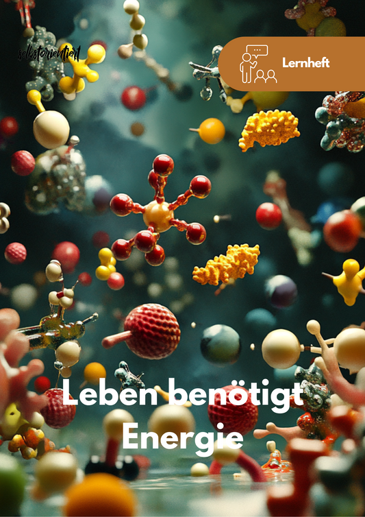 Lernheft: Enzyme und Stoffwechsel