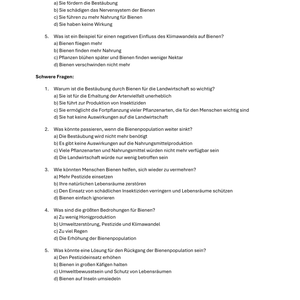 Unterrichtsreihe: Bienen - SEK I