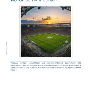 Fußball und Wirtschaft - Exkurs im Fach Politik & Wirtschaft