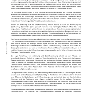 Zellteilung, Zelldifferenzierung und Morphogenese - Pflanzenentwicklung