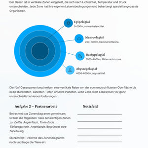Ozeanbiologie & Tiefsee – Faszinierende Extremwelten entdecken (Kl. 6–8)