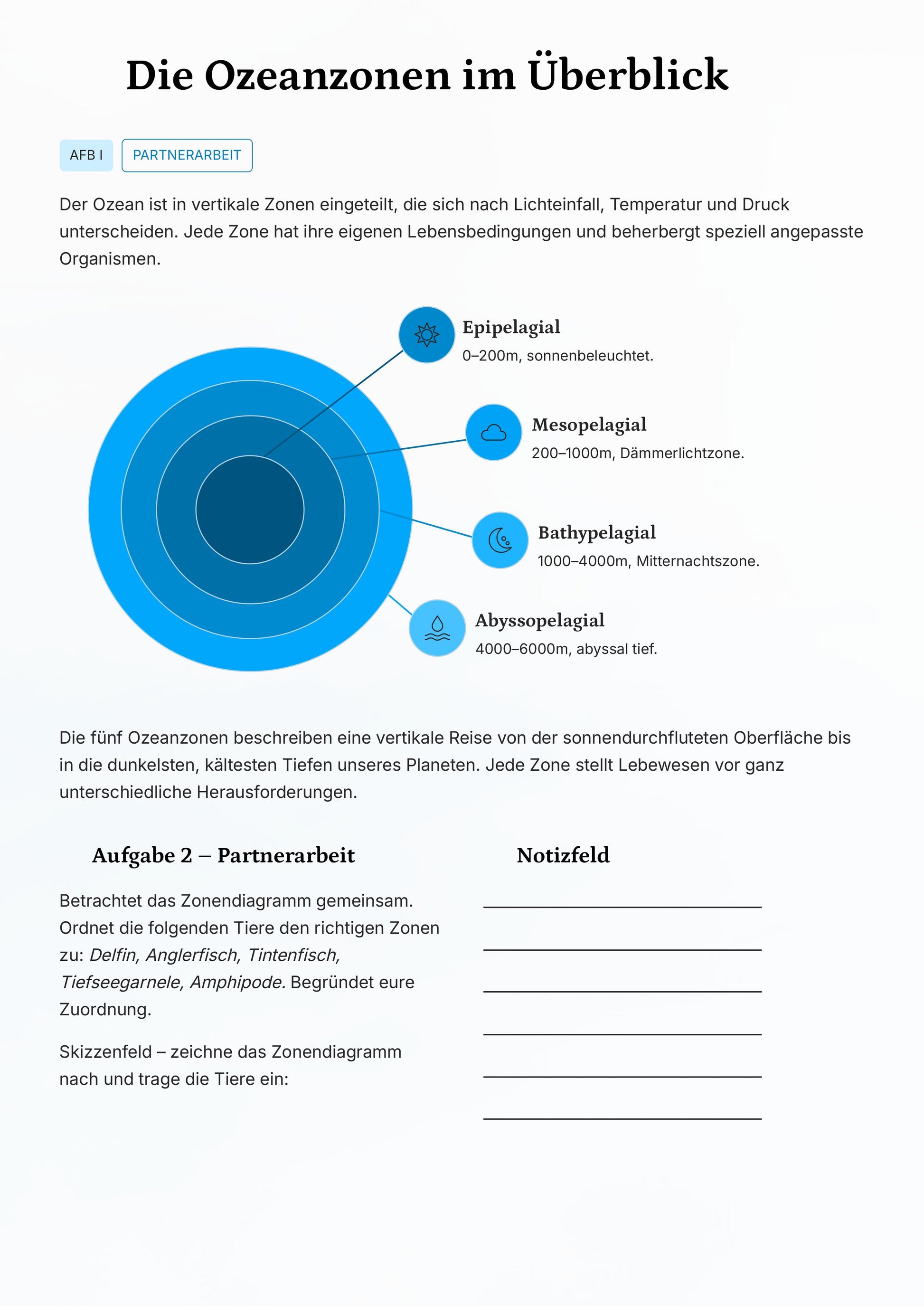 Ozeanbiologie & Tiefsee – Faszinierende Extremwelten entdecken (Kl. 6–8)