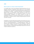 Programmierschleifen & Programmiersprachen Unterrichtsmaterial Informatik SEK I