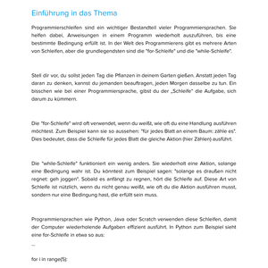 Programmierschleifen & Programmiersprachen Unterrichtsmaterial Informatik SEK I