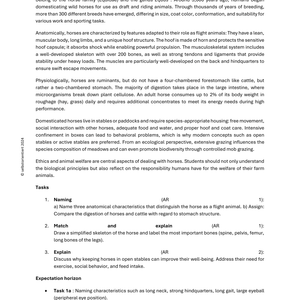 Understanding Horses – Cross-Curricular Teaching Material (Grades 5–9)